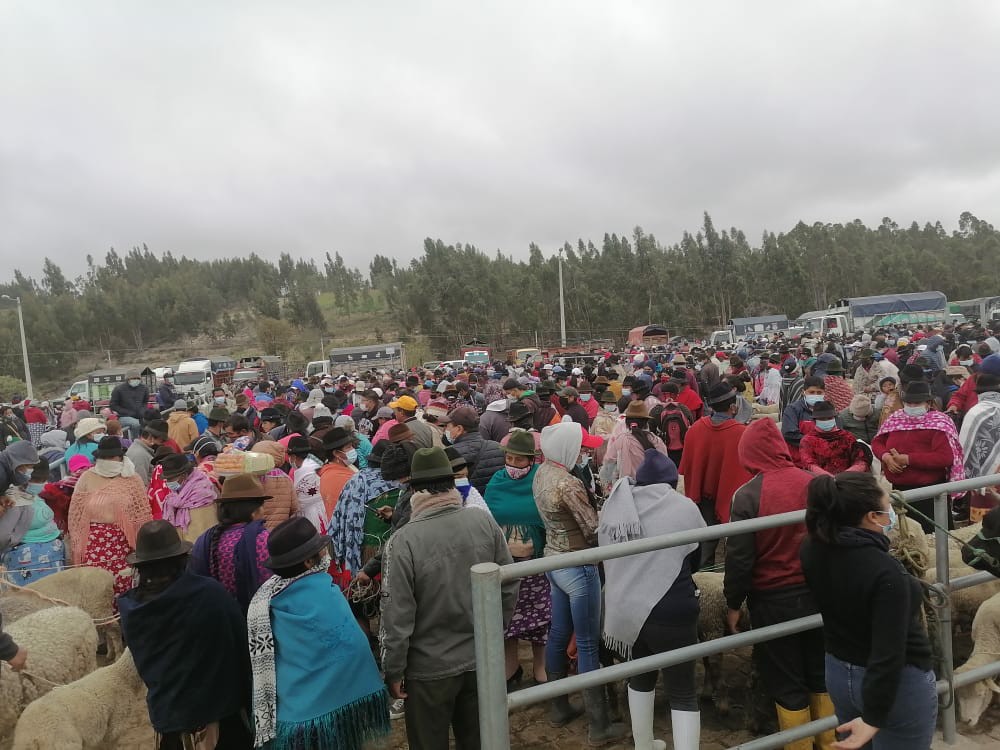 WhatsApp Image 2021-05-27 at 18.44.13